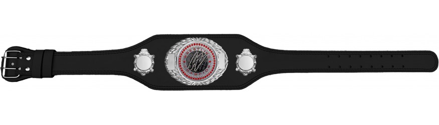 WRESTLING CHAMPIONSHIP BELT-BUD295/S/WRESTGEMS-4 COLOURS